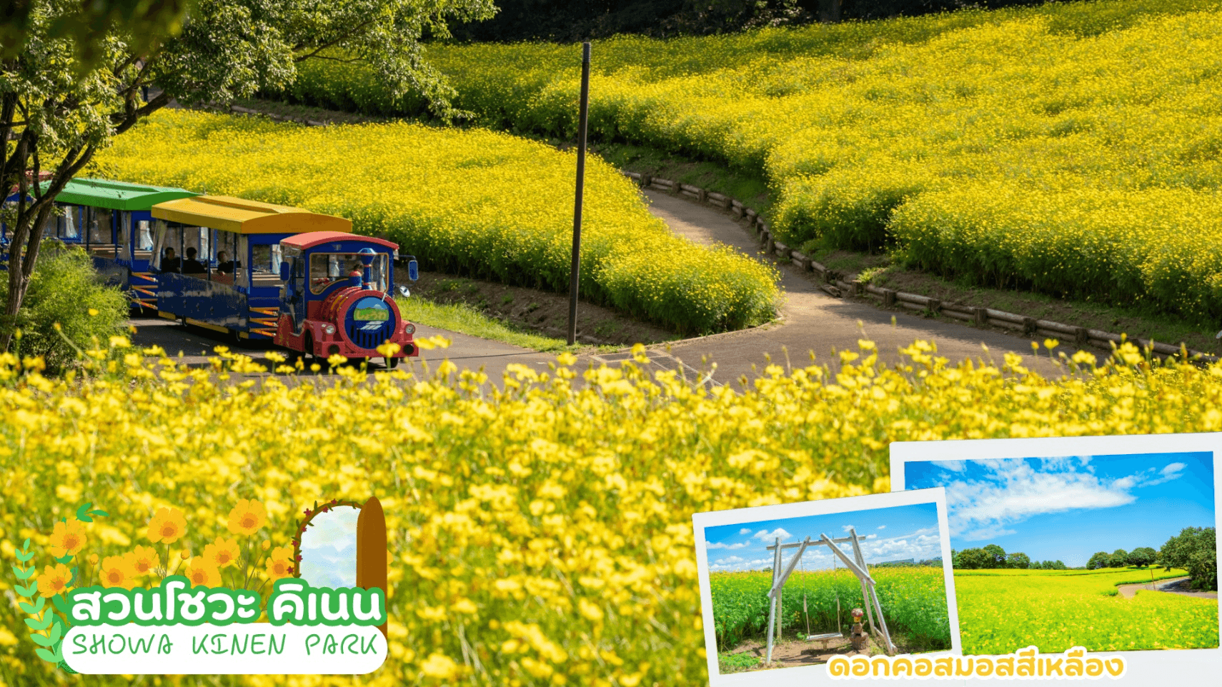 TOKYO FUJI FLOWER RELAX 6D 3N โดยสายการบินไทย [TG] 1