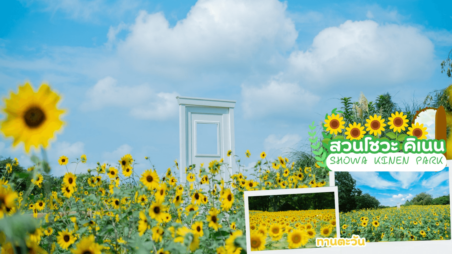 TOKYO FUJI FLOWER RELAX 6D 3N โดยสายการบินไทย [TG] 2