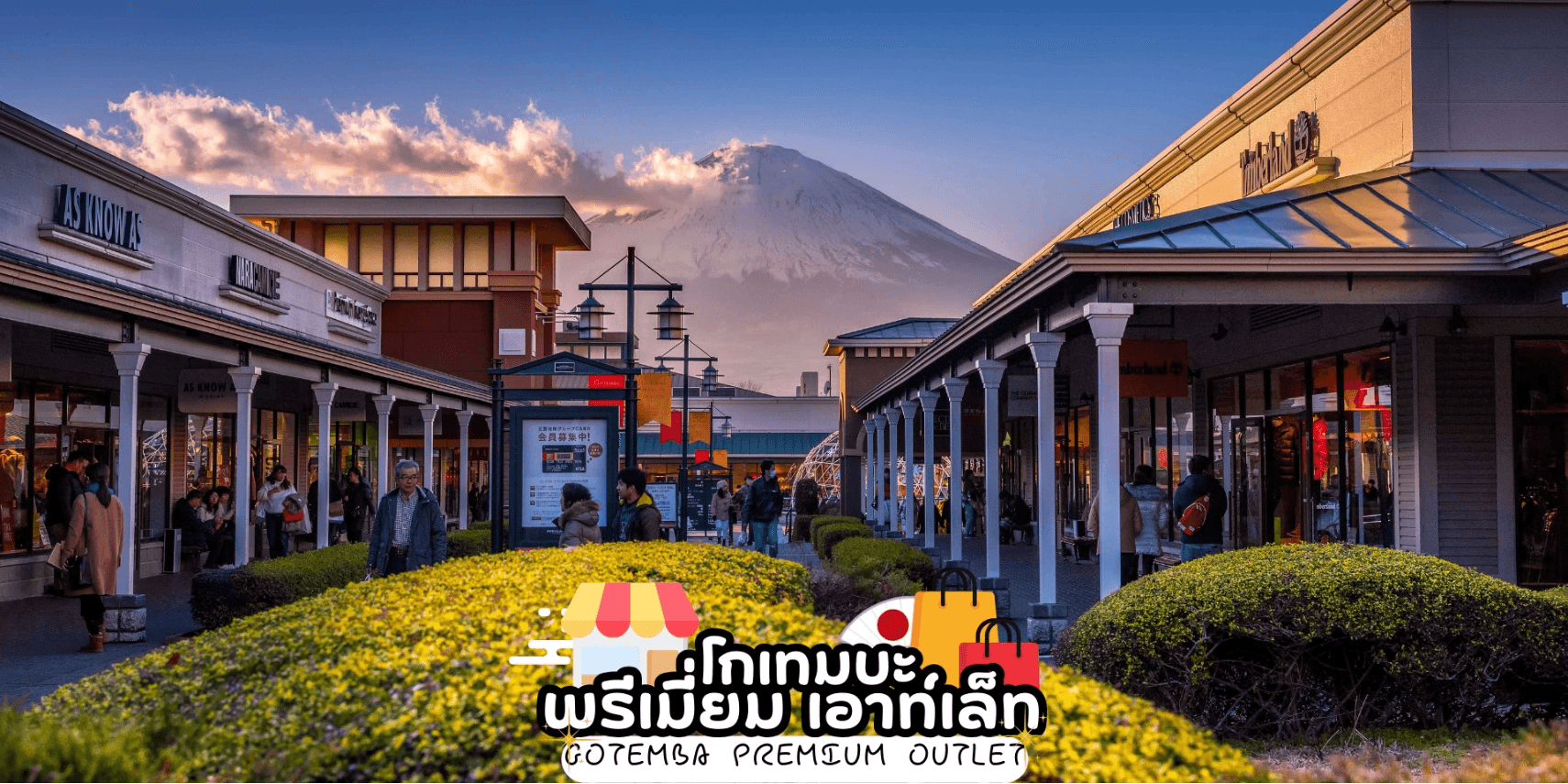 TOKYO FUJI FLOWER RELAX 6D 3N โดยสายการบินไทย [TG] 3