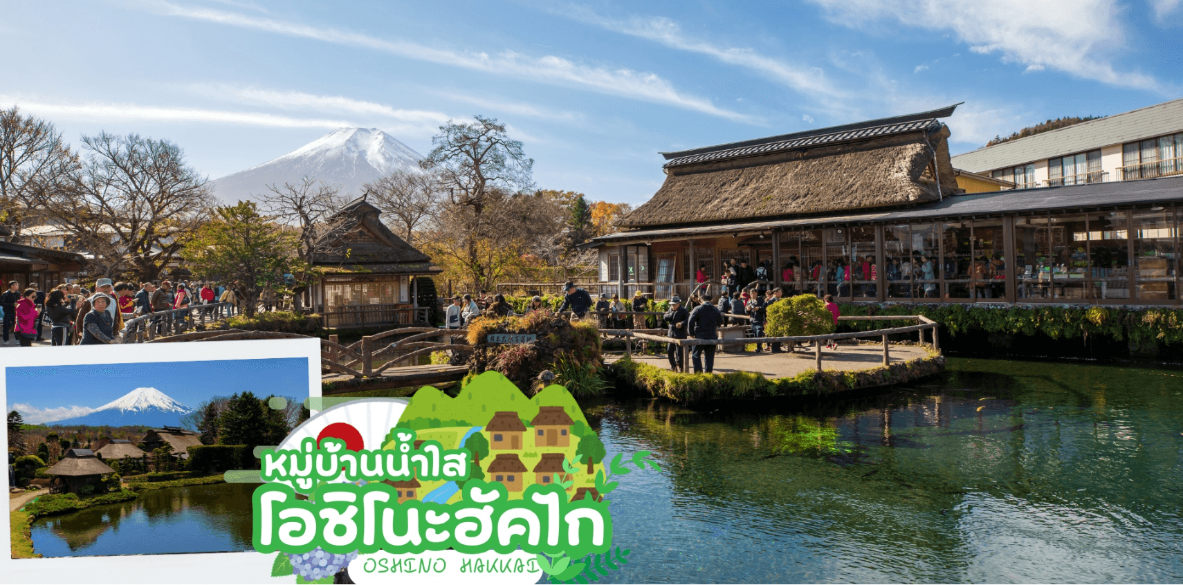 TOKYO FUJI FLOWER RELAX 6D 3N โดยสายการบินไทย [TG] 7