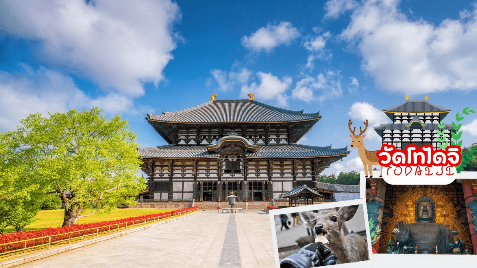 OSAKA KYOTO SUMMER IN TAKAYAMA 6D 4N โดยสายการบินไทย [TG] 2