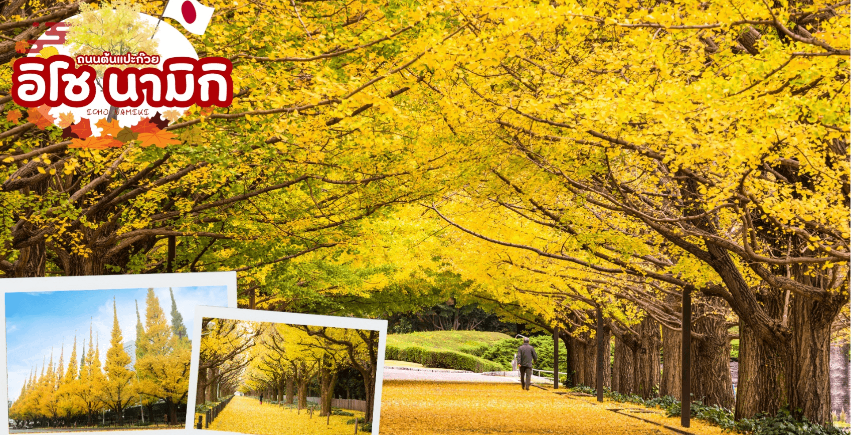 SHIRAKAWAGO KAMIKOCHI OSAKA 5D 3N โดยสายการบินไทยแอร์เอเชีย เอ็กซ์ [XJ] 9