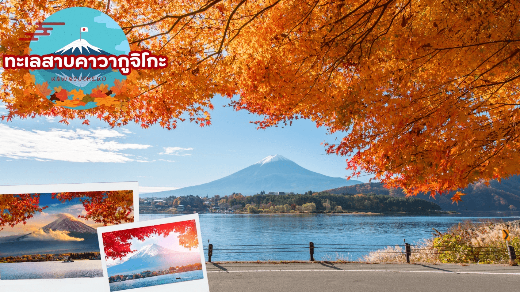NIKKO EDO WONDERLAND HITACHIKOCHIA 6D 4N โดยสายการบินไทย [TG] 4