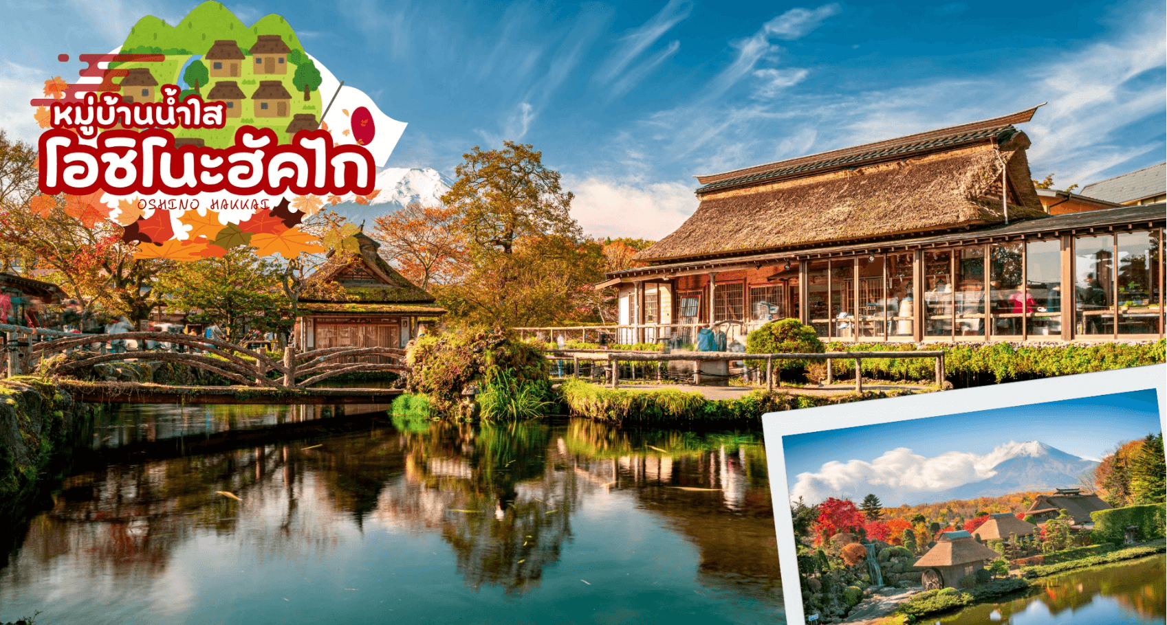 NIKKO EDO WONDERLAND HITACHIKOCHIA 6D 4N โดยสายการบินไทย [TG] 6