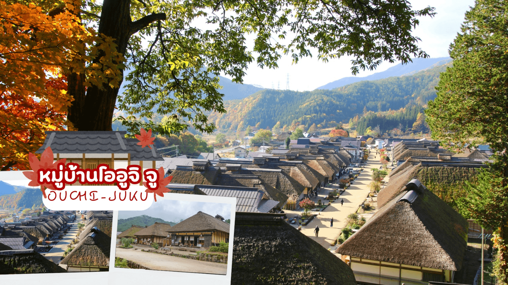 NIKKO TOKYO FUKUSHIMA AUTUMN 6D 4N โดยสายการบินไทย [TG] 1
