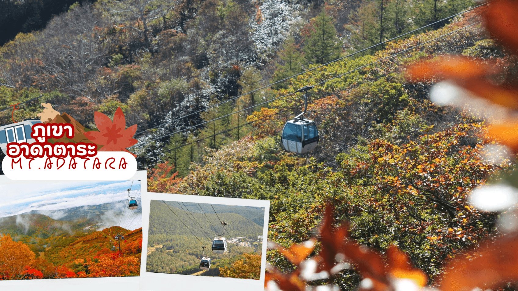 NIKKO TOKYO FUKUSHIMA AUTUMN 6D 4N โดยสายการบินไทย [TG] 4