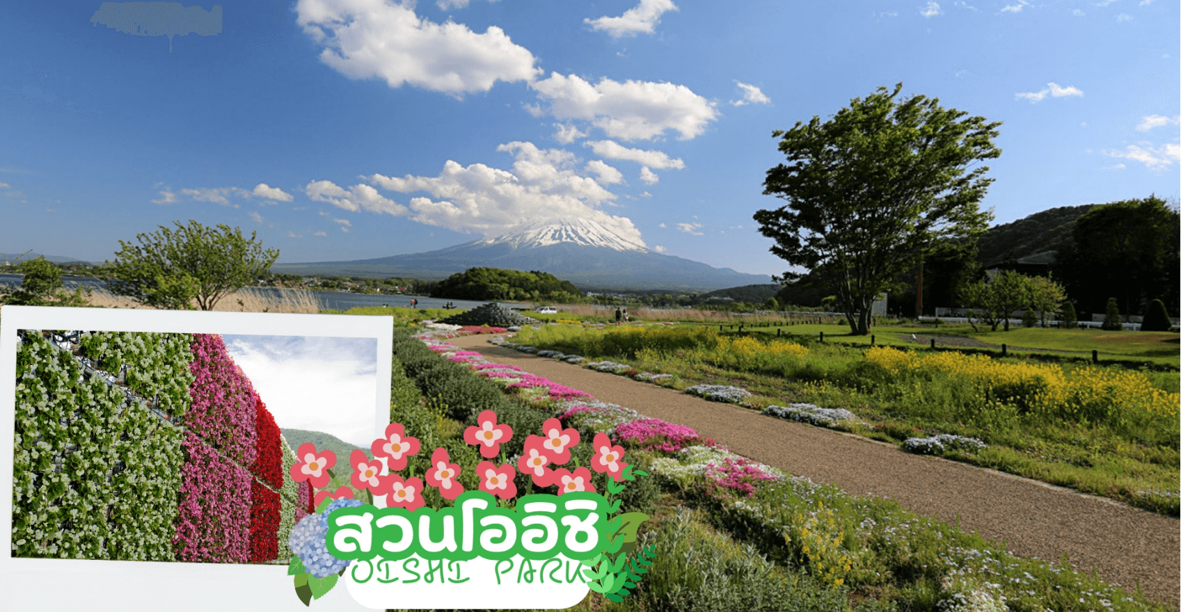 TOKYO OSAKA GREEN SEASON 6D 4N โดยสายการบินไทยแอร์เอเชีย เอ็กซ์ [XJ] 2