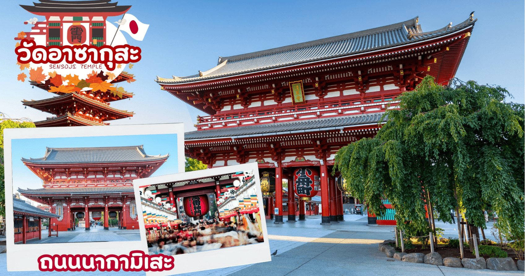 TOKYO FUJI RED KOCHIA 5D 3N โดยสายการบินไทยแอร์เอเชีย เอ็กซ์ [XJ] 7