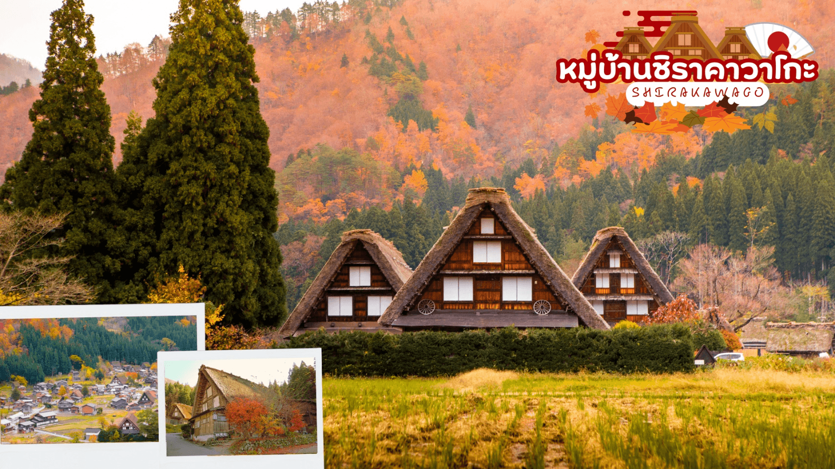 TOKYO FUJI OSAKA KOCHIA KAMIKOCHI 6D 4N โดยสายการบินไทยแอร์เอเชีย เอ็กซ์ [XJ] 8