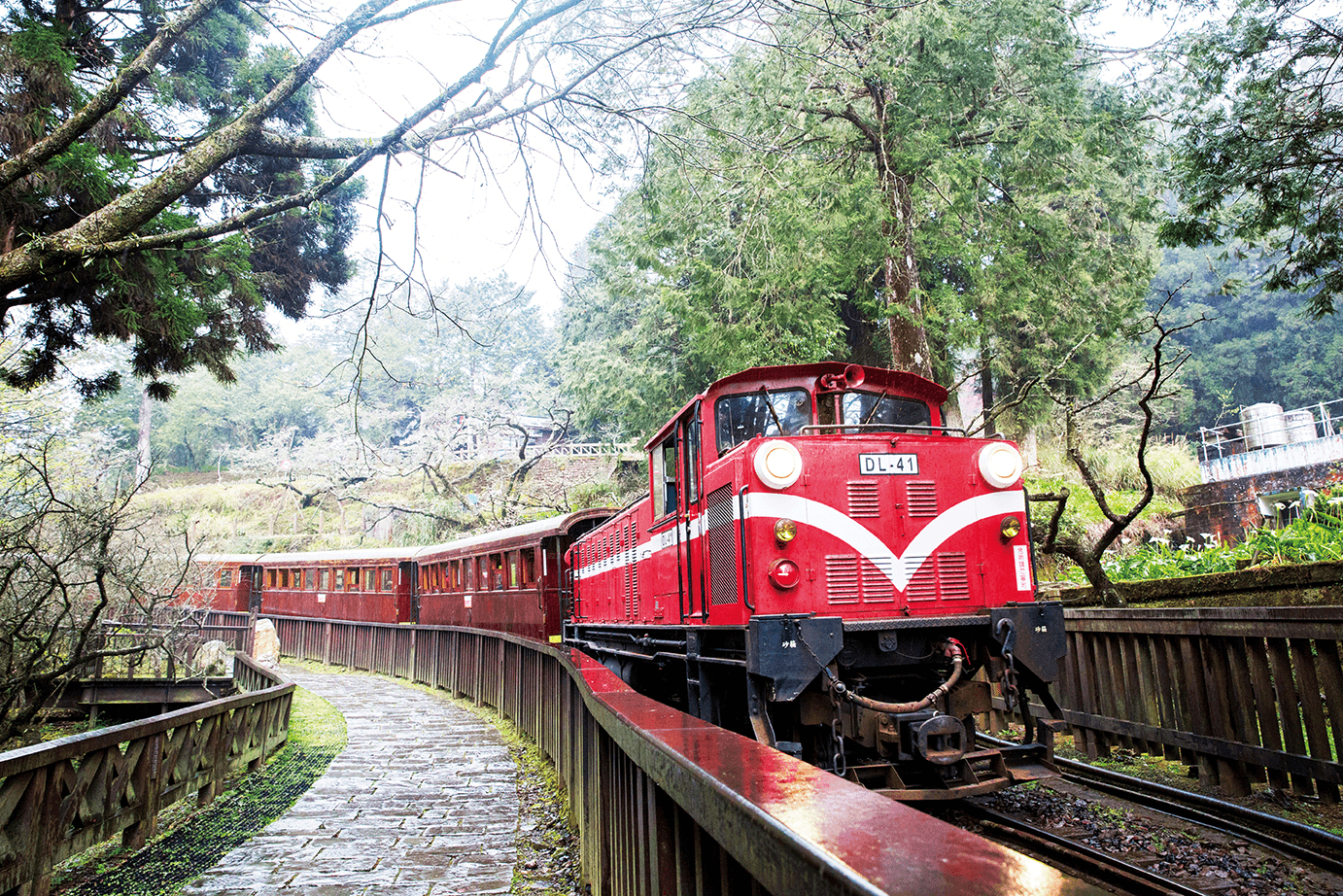TAIWAN ALISHAN SUNMOON LAKE 5 วัน 3 คืน *ไม่ลงร้าน* โดยสายการบิน EVA AIR (BR) 3