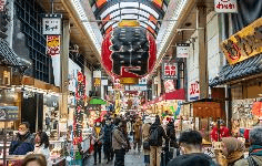 OSAKA NARA KYOTO (FREEDAY) 5D3N 4