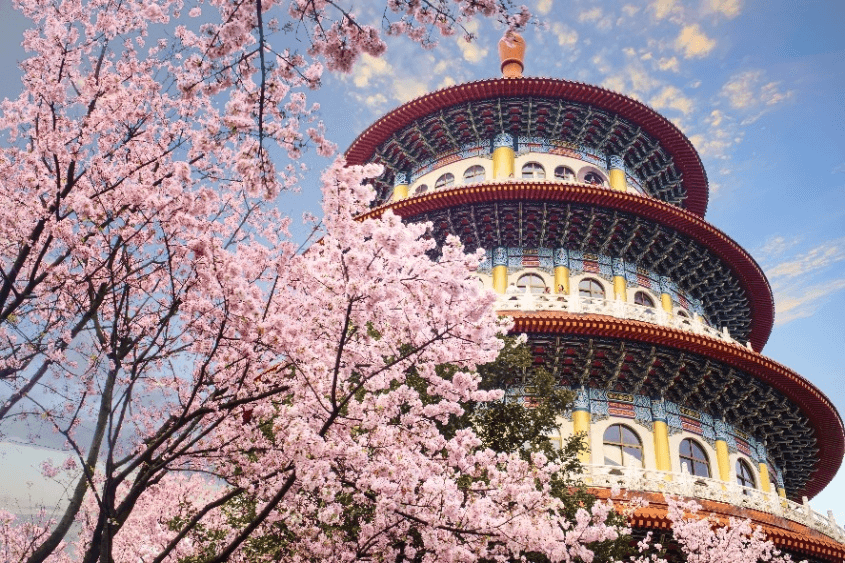 TAIPEI KEELUNG SAKURA 4D2N 1
