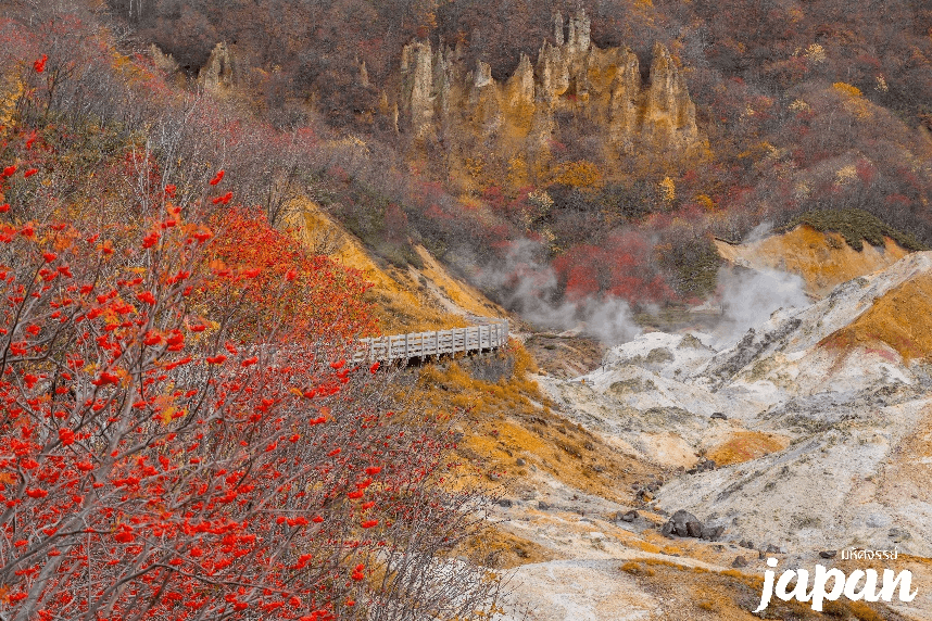 มหัศจรรย์...HOKKAIDO โจซังเค โนโบริเบทสึ ซัปโปโร 5 วัน 3 คืน 1