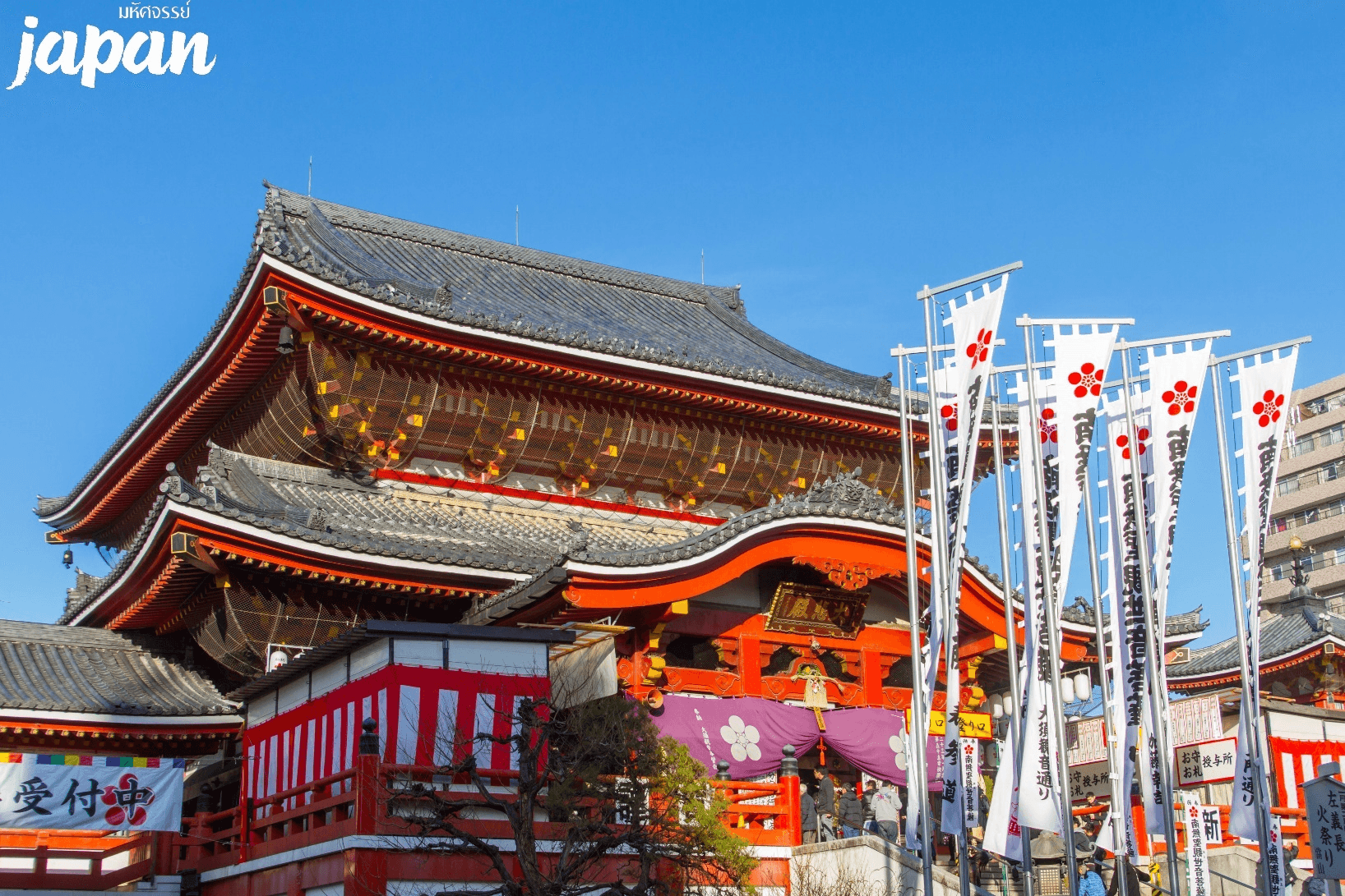 มหัศจรรย์...OSAKA นาบานาโนะซาโตะ ชิราคาวาโกะ ชินโฮทากะ เกียวโต 6 วัน 4 คืน 4