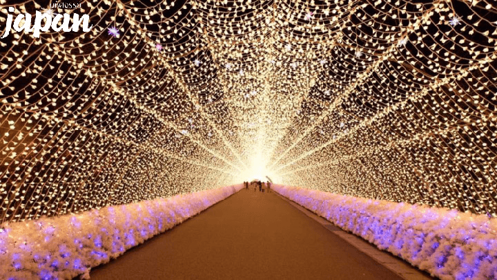 มหัศจรรย์...OSAKA นาบานาโนะซาโตะ ชิราคาวาโกะ ฮาคุบะ อุโมงค์เมเปิ้ล 6 วัน 4 คืน 2
