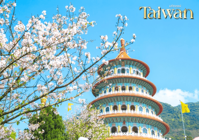 มหัศจรรย์...TAIWAN SAKURA 2026 4 วัน 3 คืน 5