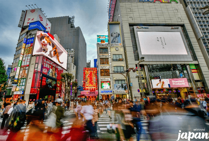 มหัศจรรย์...TOKYO คามาคุระ ฟูจิ FREEDAY 5 วัน 3 คืน 4