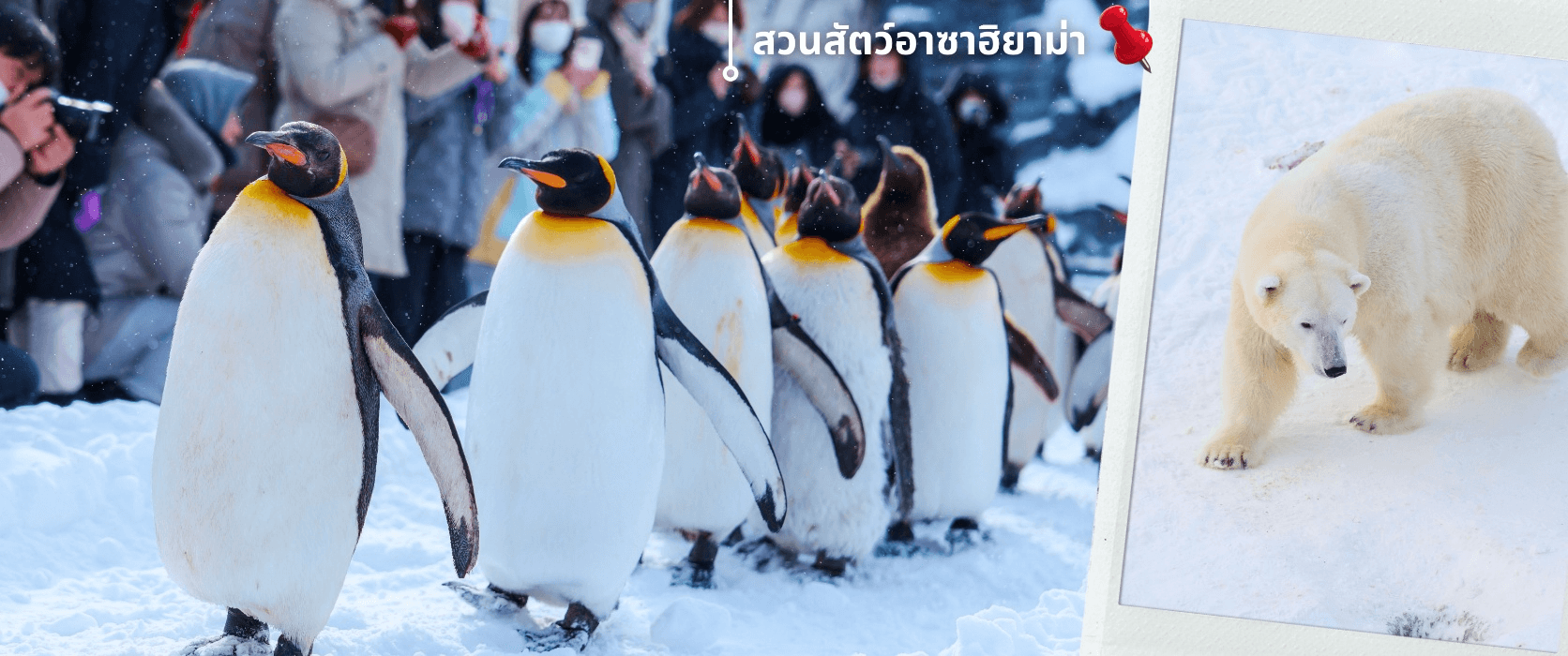 ฮอกไกโด อาซาฮิกาว่า หมู่บ้านเทพนิยาย อิสระช้อปปิ้งหนึ่งวัน 6วัน 4คืน บิน XJ (NOV – DEC’25) 3