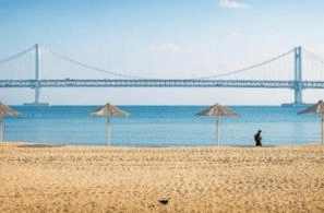 Busan Winter Plus 4D2N   3