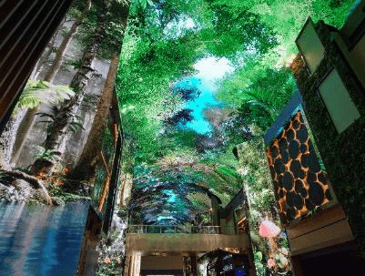 Chic & Classic KOREA SEOUL NAMI EVERLAND 5วัน 3คืน 1