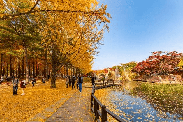 Chic & Classic KOREA SEOUL NAMI EVERLAND 5วัน 3คืน 2