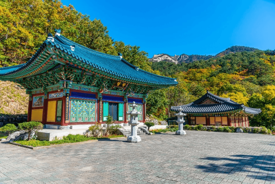 เกาหลี (KOREA) SEOUL SO COOL 5 วัน 3 คืน โดยสายการบินไทย 1