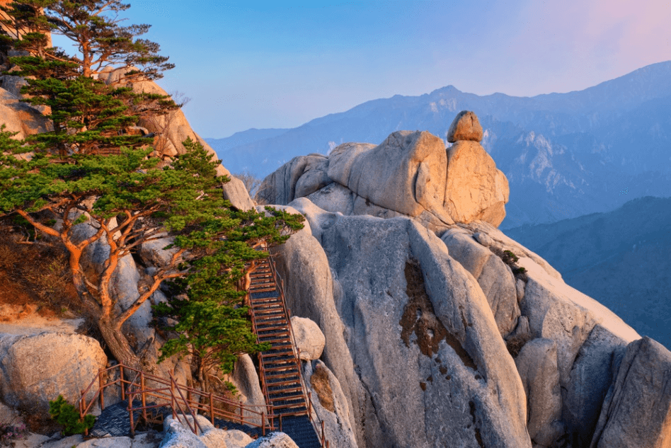 เกาหลี (KOREA) SEOUL SO COOL 5 วัน 3 คืน โดยสายการบินไทย 2
