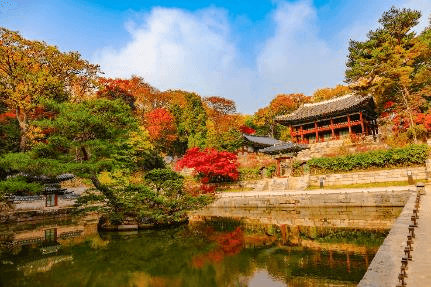 เกาหลี (KOREA) SEOUL SO COOL 5 วัน 3 คืน โดยสายการบินไทย 3