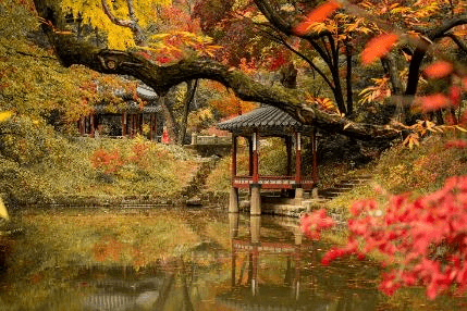 เกาหลี (KOREA) SEOUL SO COOL 5 วัน 3 คืน โดยสายการบินไทย 4