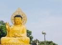 Jeju Gold Package Aug,Sep ,Oct 4วัน 2คืน 5