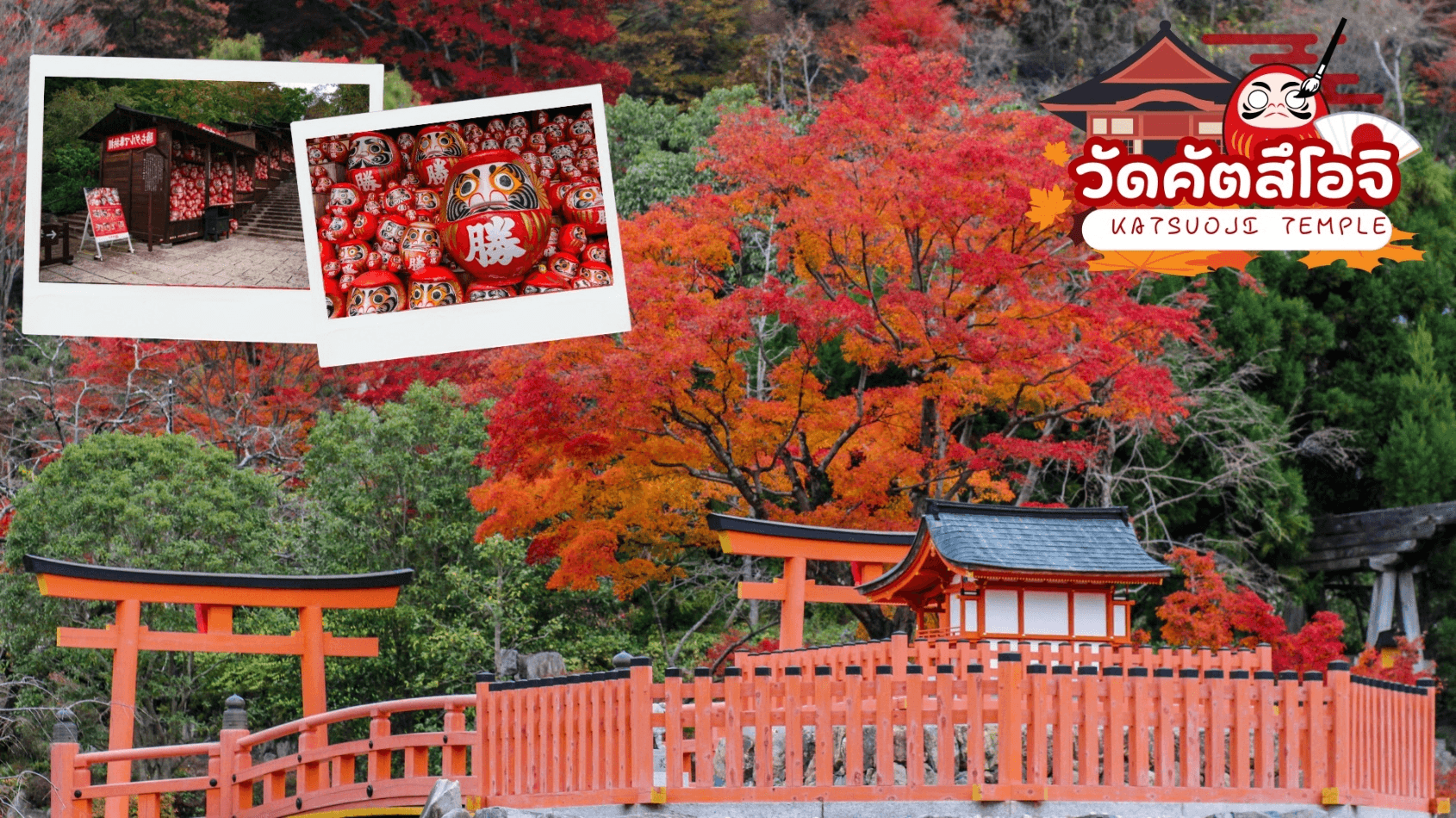 KAMIKOCHI INUYAMA TAKAYAMA AUTUMN 6D 4N โดยสายการบินไทย [TG] 1
