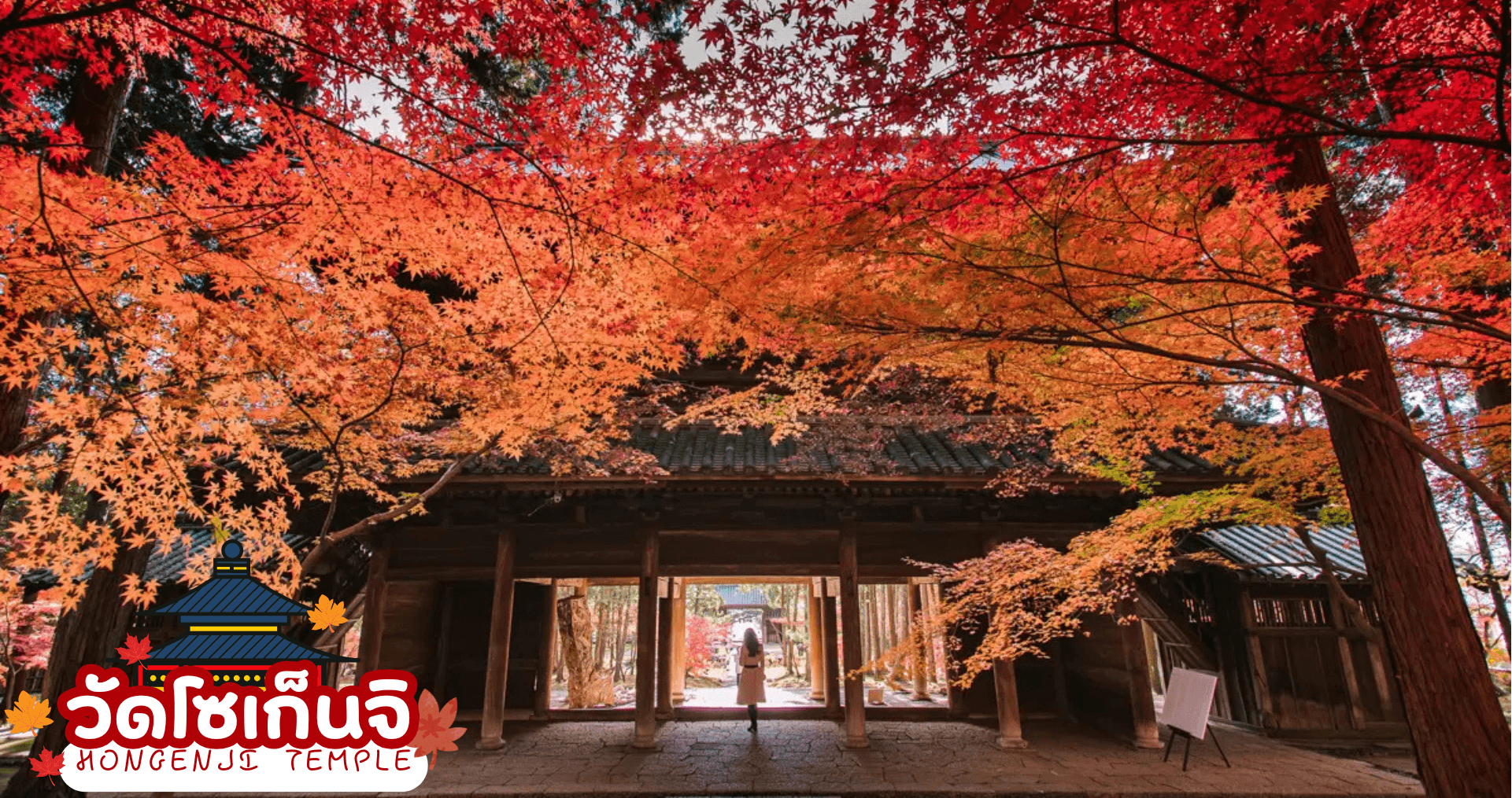 UNSEEN OKAYAMA TOTTORI AUTUMN 6D 4N โดยสายการบินไทย  2