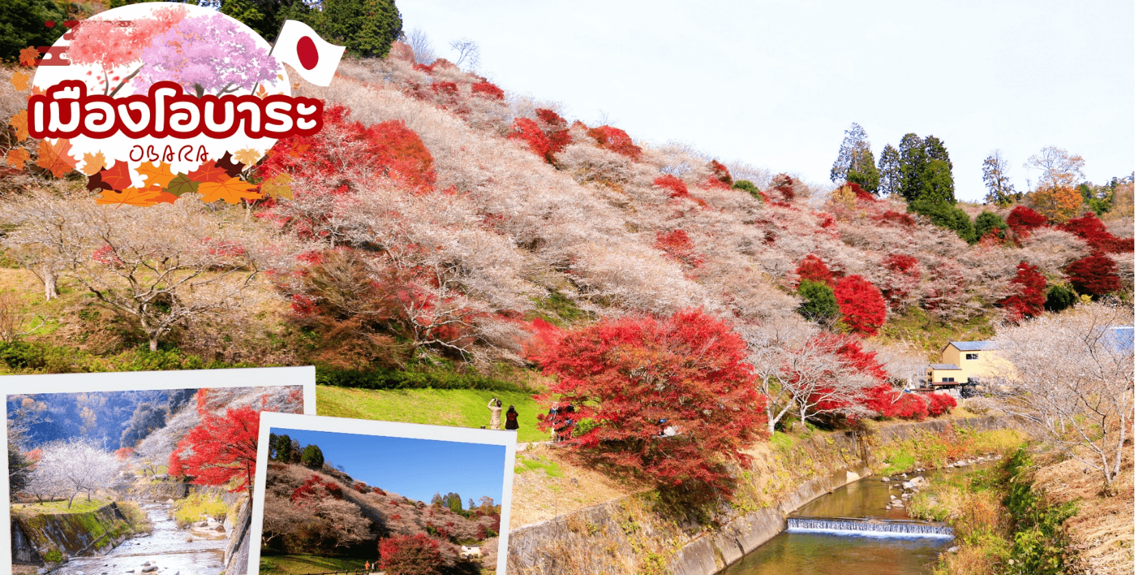 OBARA HAKUBA TAKAYAMA TOKYO AUTUMN 7D 4N โดยสายการบินไทย 2