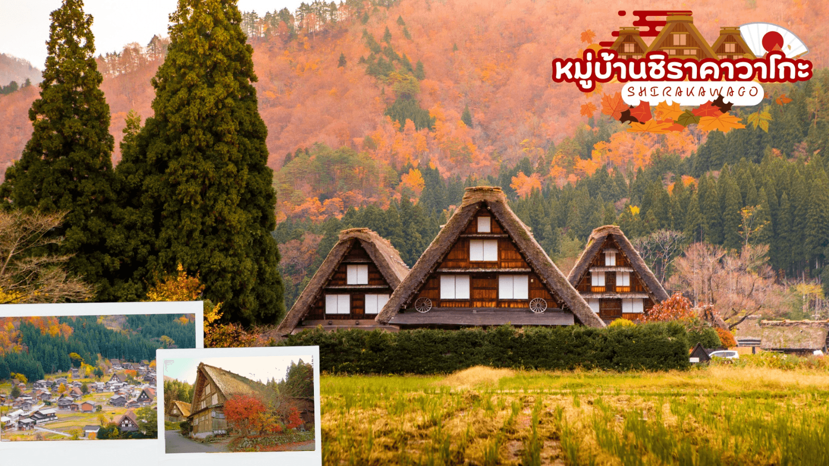OBARA HAKUBA TAKAYAMA TOKYO AUTUMN 7D 4N โดยสายการบินไทย 5
