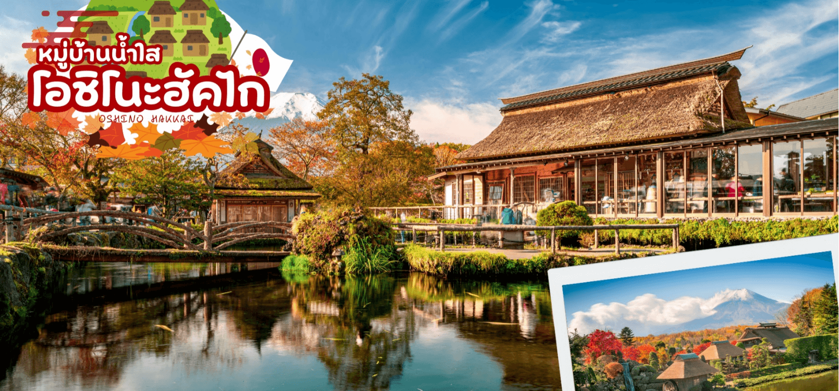 TOKYO FUJI HITACHI KOCHIA 6D 4N โดยสายการบินไทย 4