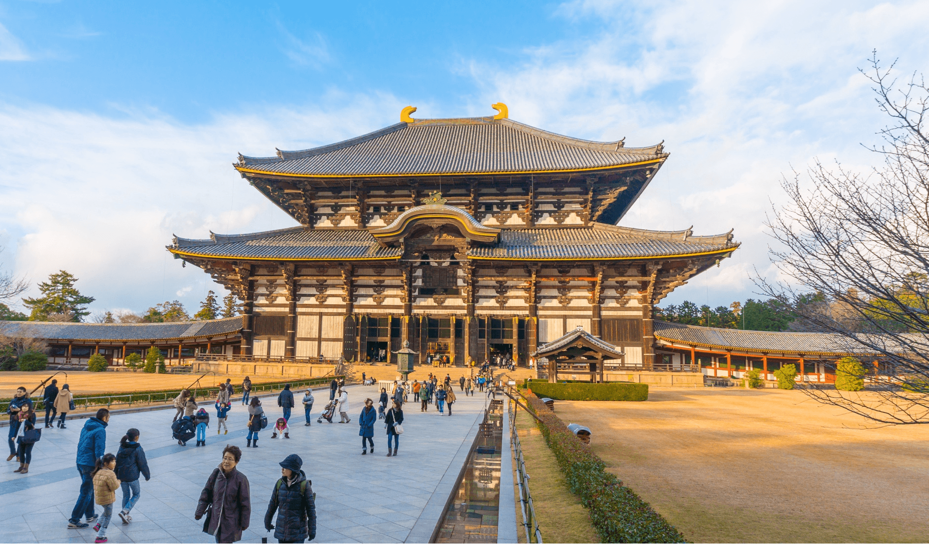chill chic check in NAGOYA OSAKA KYOTO SHIRAKAWAGO BIWAGO SNOW 5วัน 3คืน 5