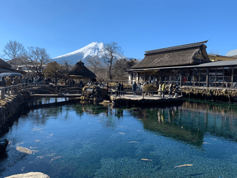 Wonder Autumn TOKYO FUJI KAWAGOE 5วัน 3คืน 3
