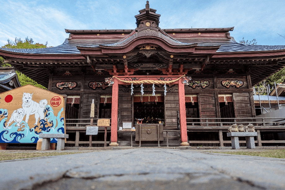Amazing Autumn TOKYO FUJI NIKKO IBARAKI 5วัน 3คืน 1