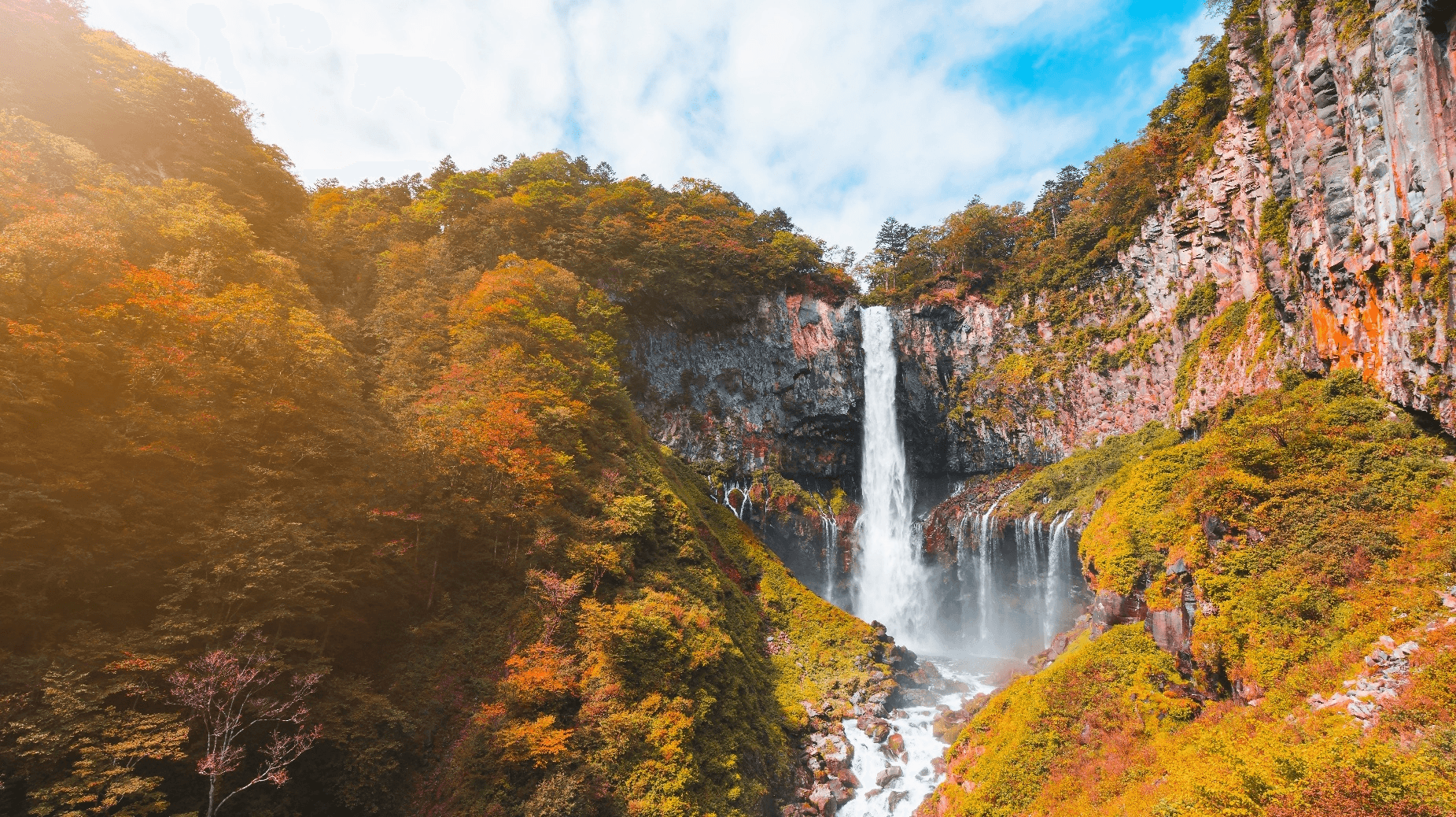 Amazing Autumn TOKYO FUJI NIKKO IBARAKI 5วัน 3คืน 3