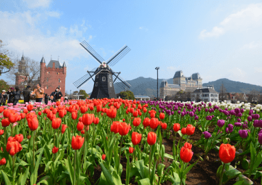Wonder Romance FUKUOKA YUFUIN HUIS TEN BOSCH 5วัน 3คืน 2