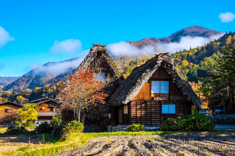 Beautiful Moments in… NAGOYA FUJI SHIRAKAWAGO TAKAYAMA 5วัน 3คืน 4
