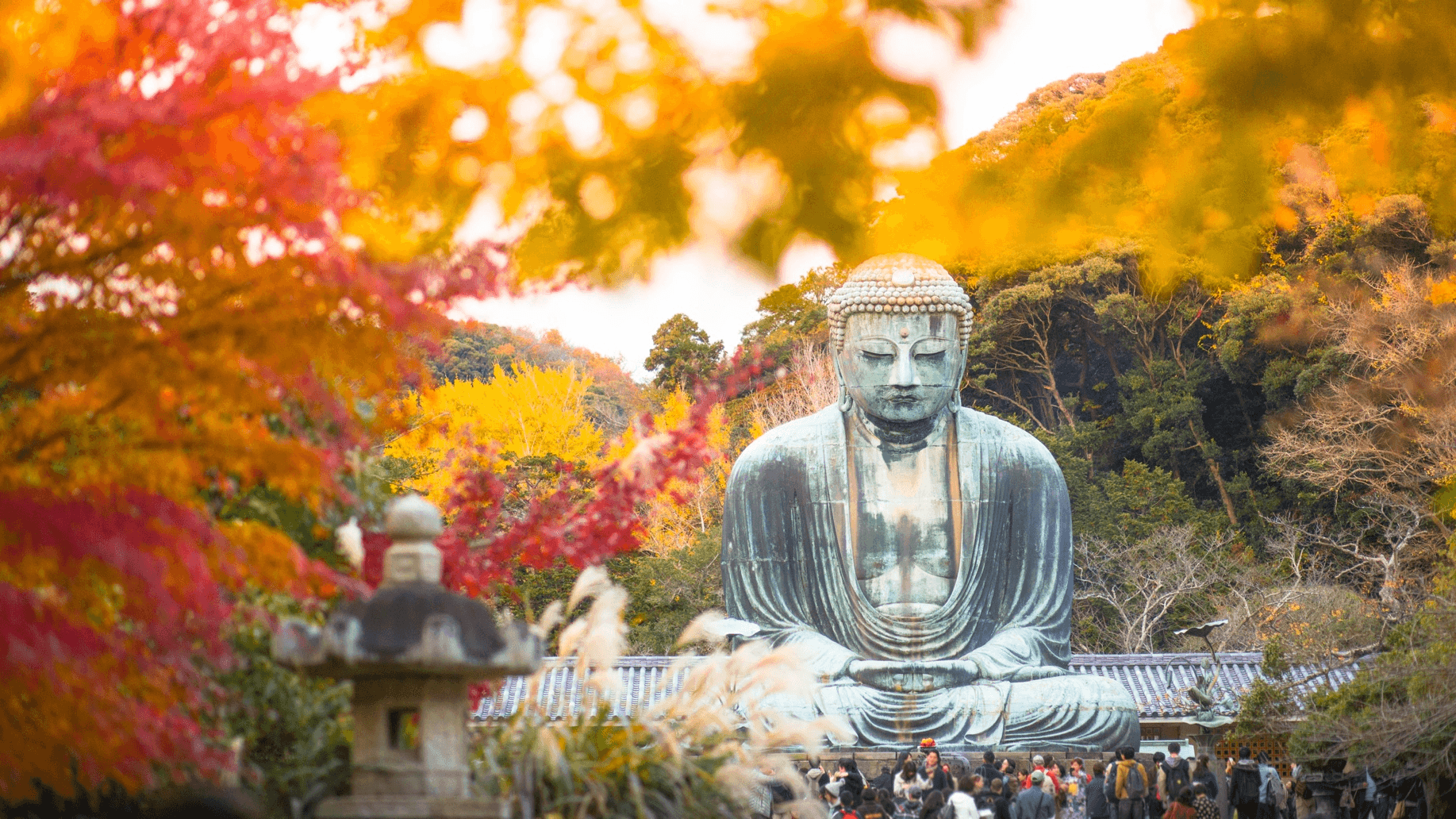 Autumn Breeze TOKYO FUJI KAMAKURA 5วัน 3คืน 1