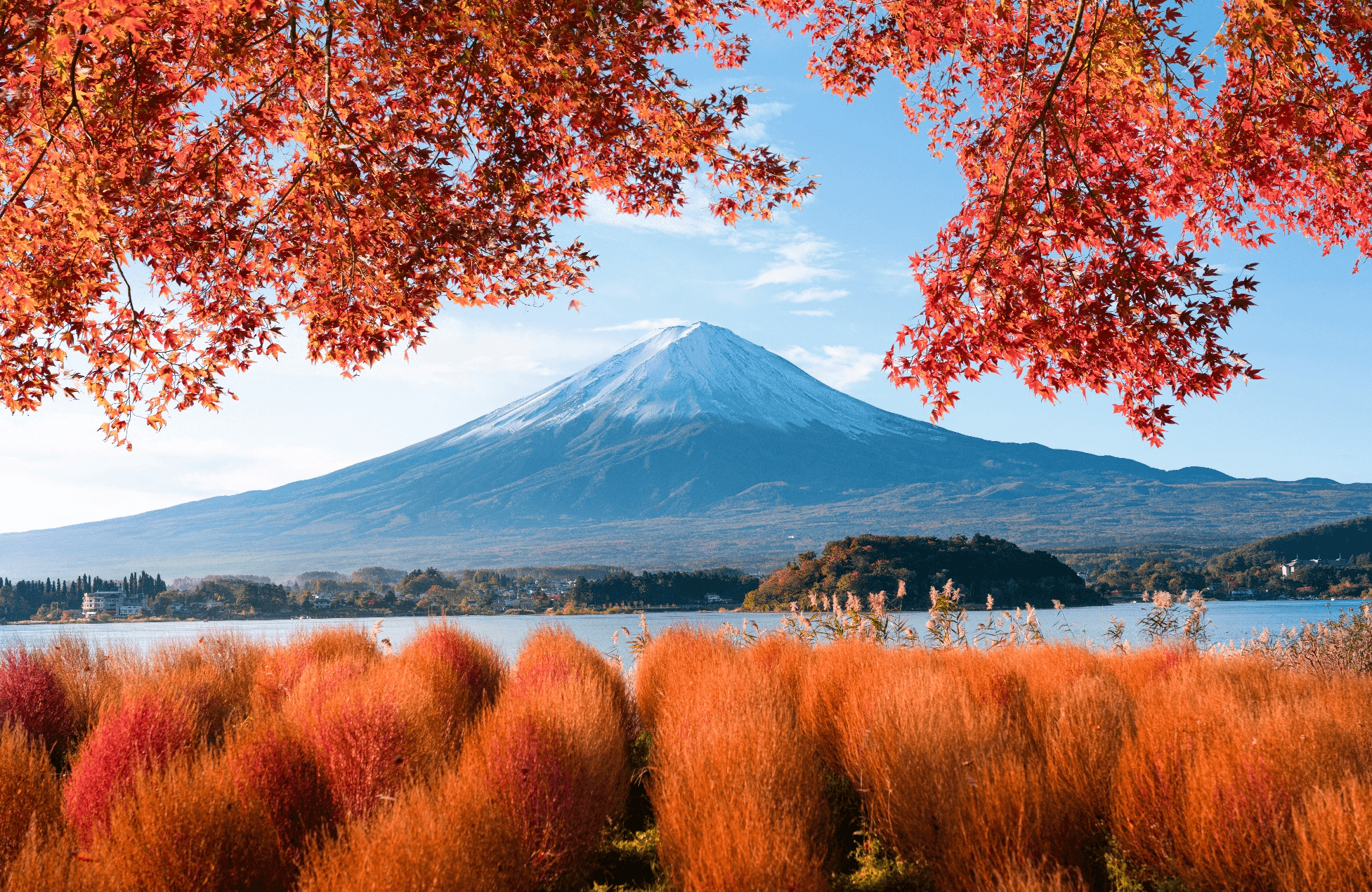 Autumn Breeze TOKYO FUJI KAMAKURA 5วัน 3คืน 3