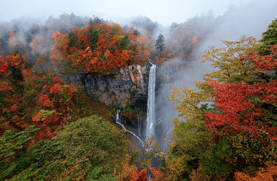 Autumn is magic TOKYO FUJI NIKO IBARAKI 5วัน 3คืน 1