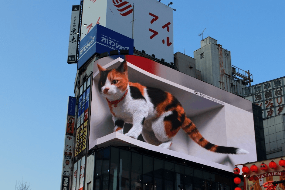 Autumn is magic TOKYO FUJI NIKO IBARAKI 5วัน 3คืน 4