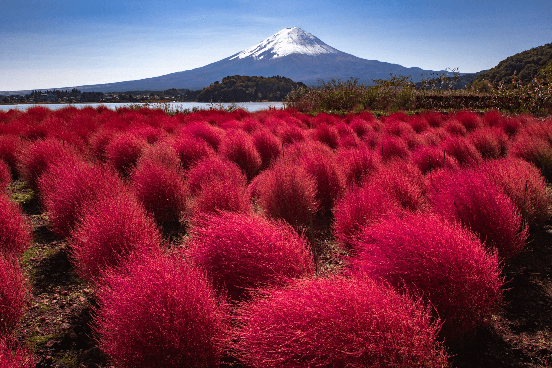 Red Chill TOKYO FUJI FUJINOMIYA 5วัน 3คืน 5