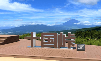 Winter Love You TOKYO FUJI HAKONE FUJITEN SNOW 5วัน 3คืน 2