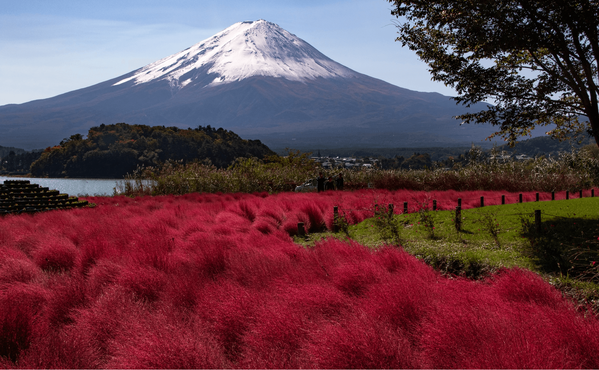 Falling for TOKYO FUJI YOKOHAMA 5วัน 4คืน 5