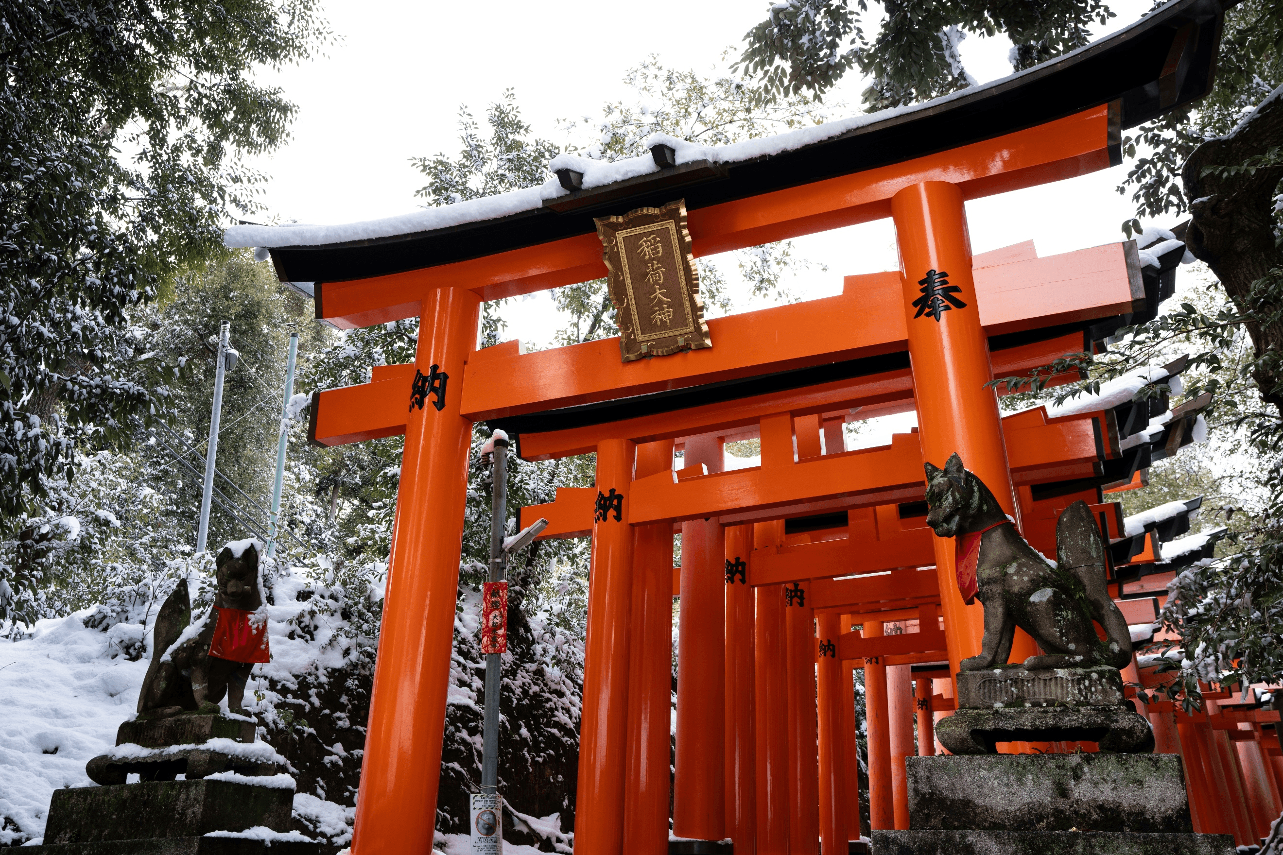 Sweet Winter With You OSAKA SHIRAKAWAGO KYOTO UJI TAKASU SNOW PARK 5วัน 3คืน 3
