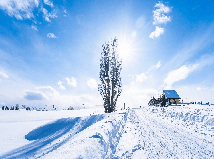 Very Cool Winter HOKKAIDO SAPPORO ASAHIKAWA OTARU 5วัน 3คืน 5